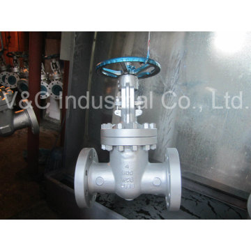 Flexible Wedge API Acier inoxydable Flange Gate Valve De Chine